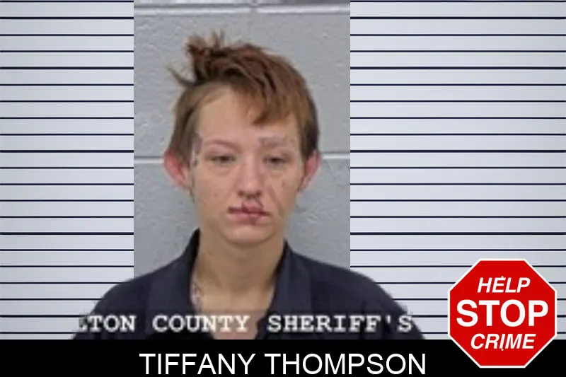 Tiffany Thompson mugshot