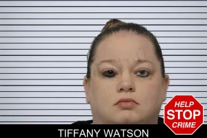 Tiffany Watson mugshot