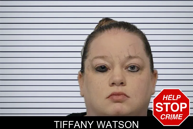 Tiffany Watson mugshot