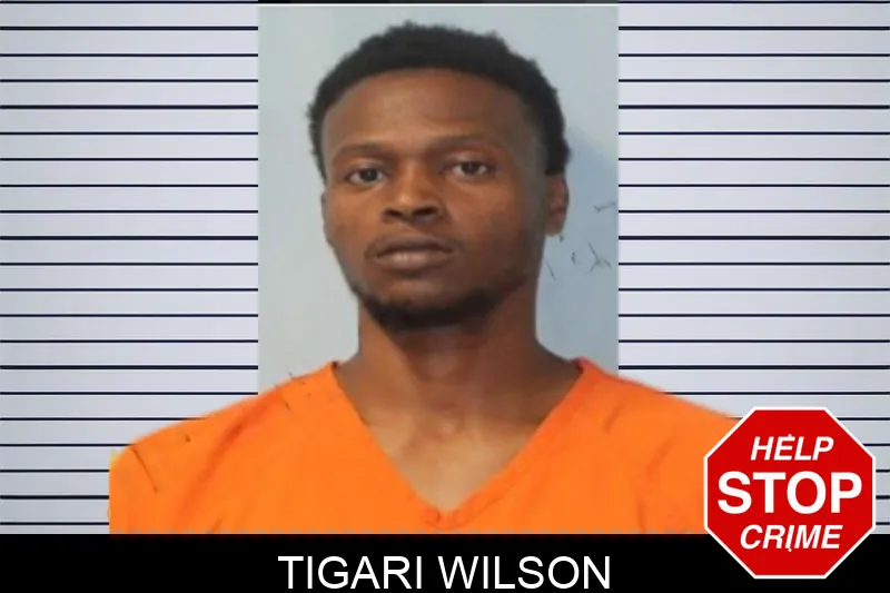 Tigari Wilson mugshot
