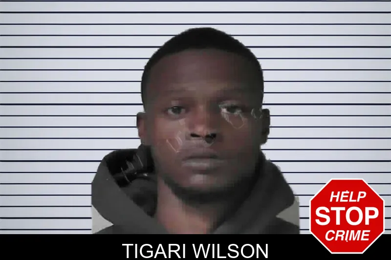 Tigari Wilson mugshot