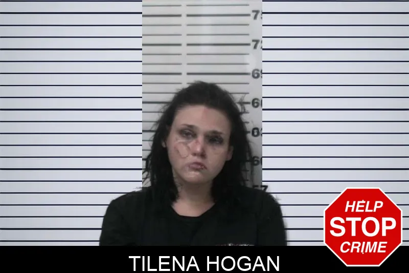 Tilena Hogan mugshot