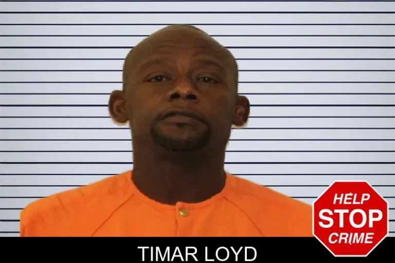 Timar Loyd