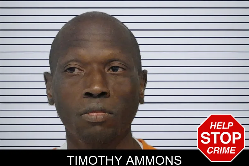 Timothy Ammons mugshot