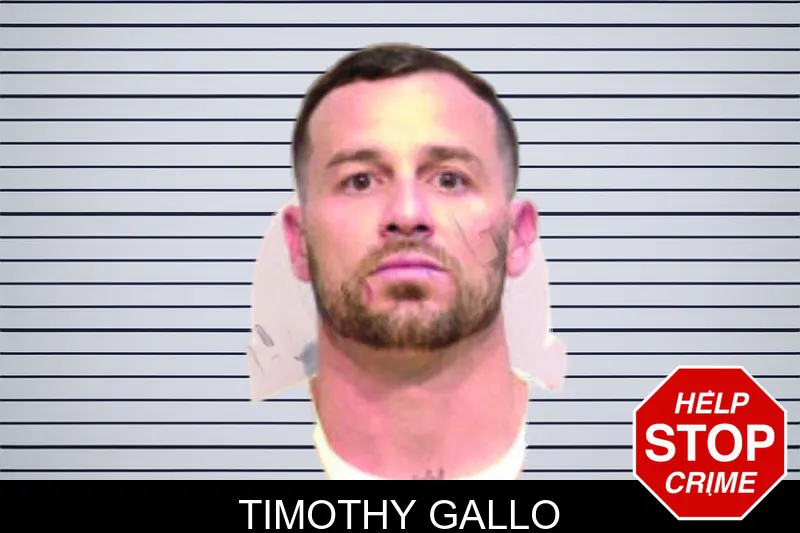 Timothy Gallo mugshot