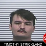 Timothy Strickland mugshot