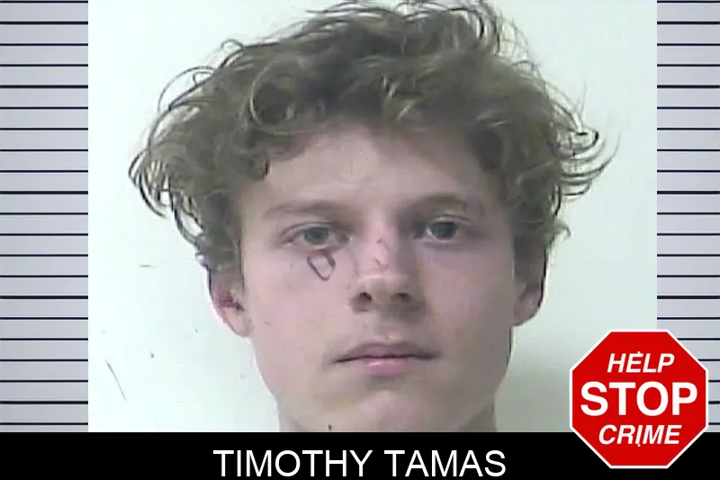 Timothy Tamas mugshot