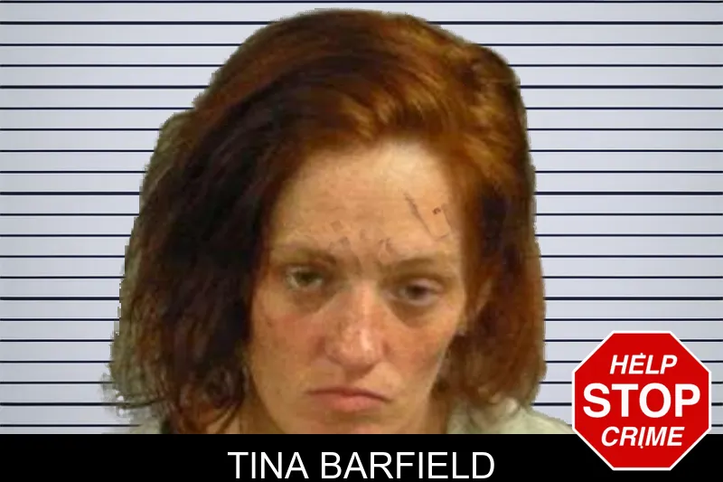 Tina Barfield mugshot