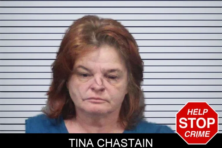 Tina Chastain mugshot – White County , Georgia Tina Chastain