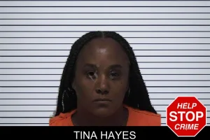 Tina Hayes mugshot
