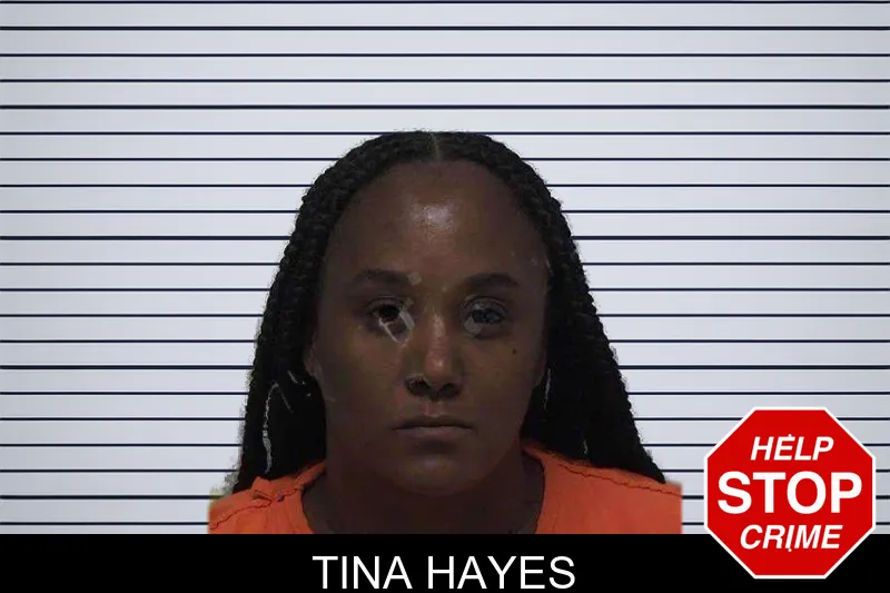 Tina Hayes mugshot