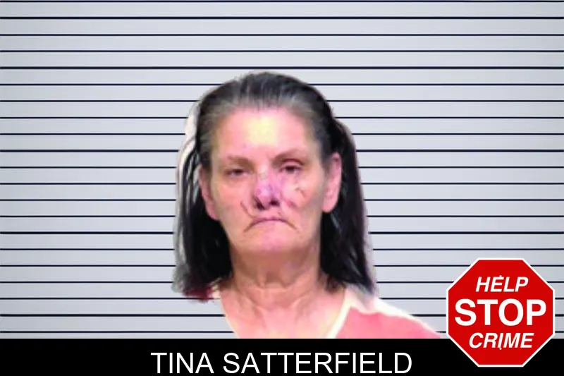 Tina Satterfield mugshot