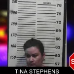 Tina Stephens mugshot