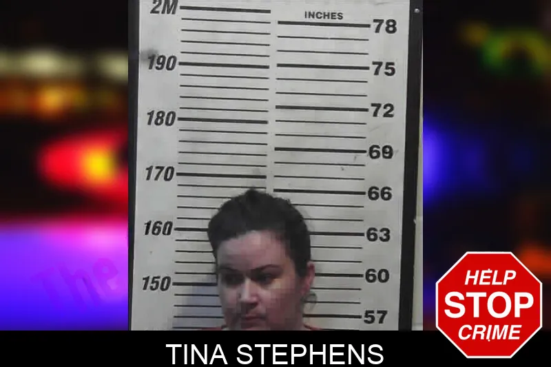 Tina Stephens mugshot