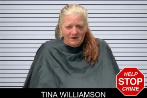 Tina Williamson mugshot