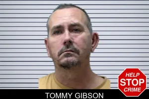 Tommy Gibson mugshot