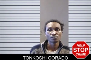 Tonkoshi Gorado mugshot