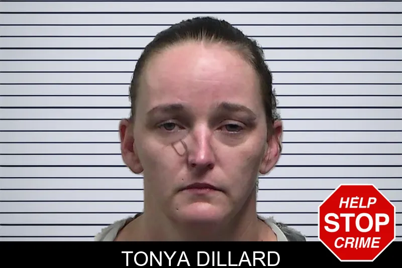 Tonya Dillard mugshot