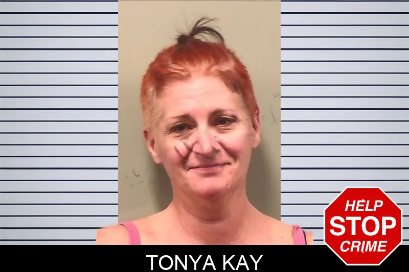 Tonya Kay mugshot