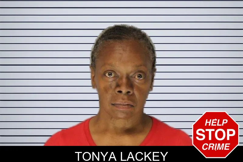 Tonya Lackey mugshot – Hall County , Georgia Tonya Lackey mugshot
