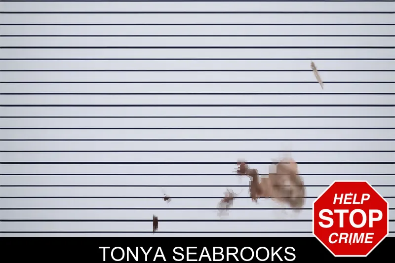Tonya Seabrooks mugshot