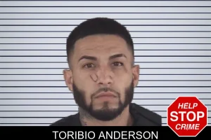 Toribio Anderson mugshot