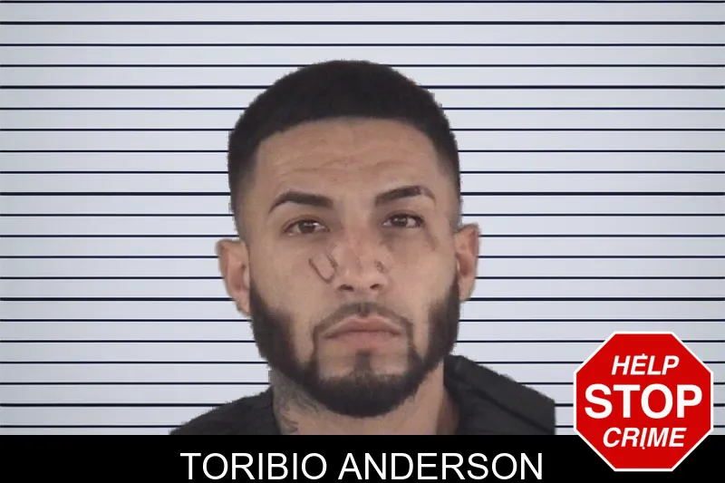 Toribio Anderson mugshot