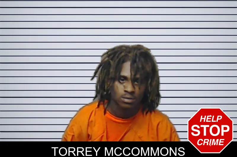Torrey McCommons mugshot