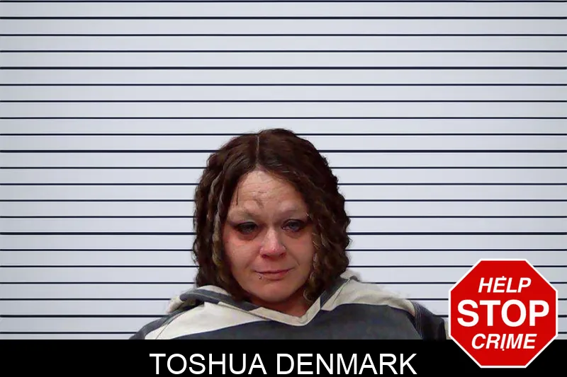 Toshua Denmark mugshot