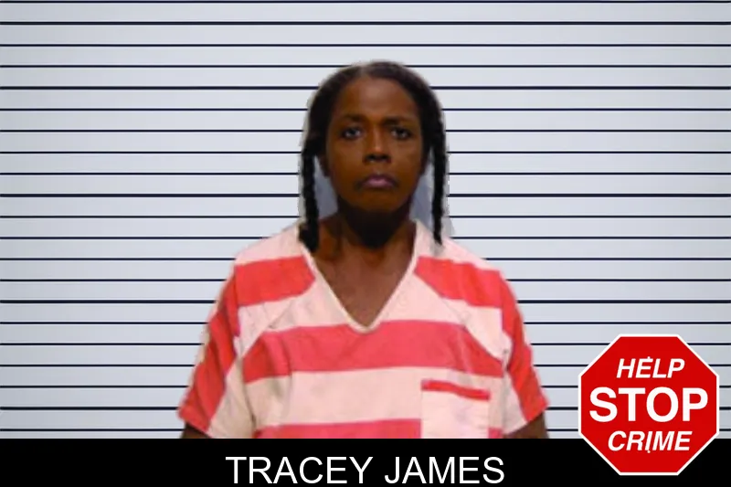 Tracey James mugshot
