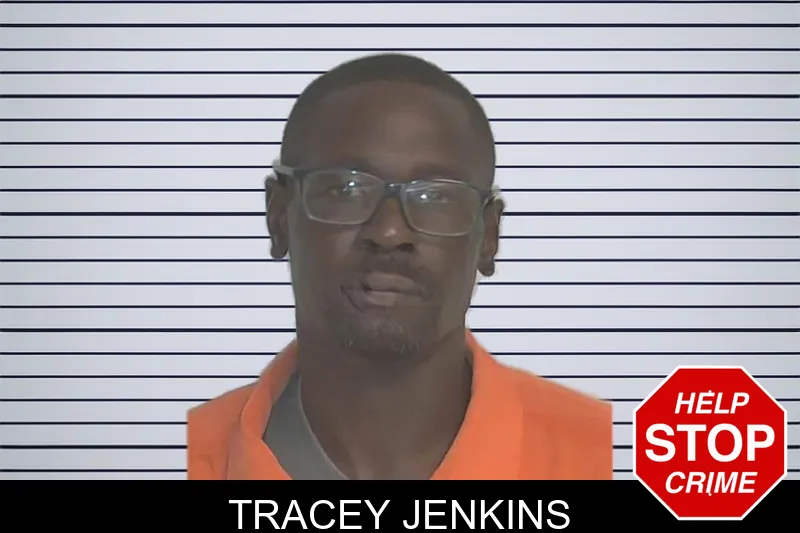 Tracey Jenkins mugshot