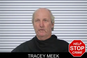Tracey Meek mugshot