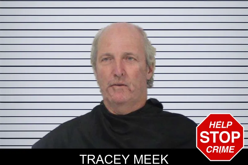 Tracey Meek mugshot