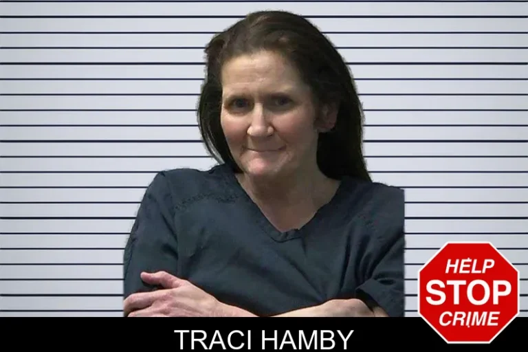 Traci Hamby mugshot – Gilmer County , Georgia Traci Hamby