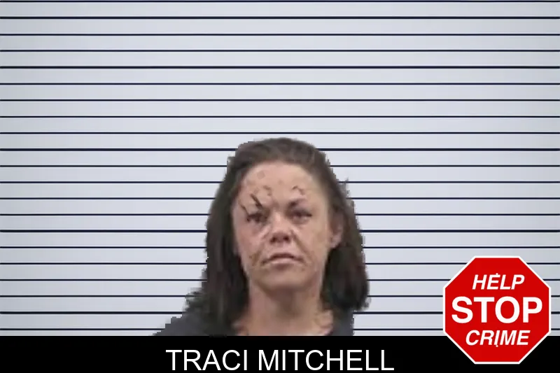 Traci Mitchell mugshot