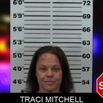 Traci Mitchell mugshot