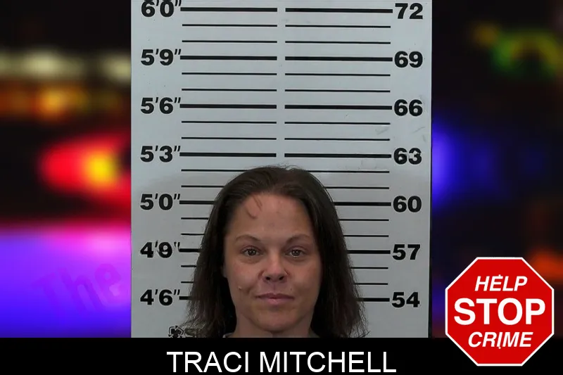 Traci Mitchell mugshot
