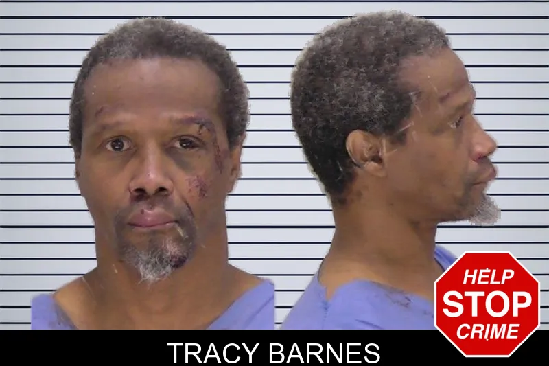 Tracy Barnes mugshot