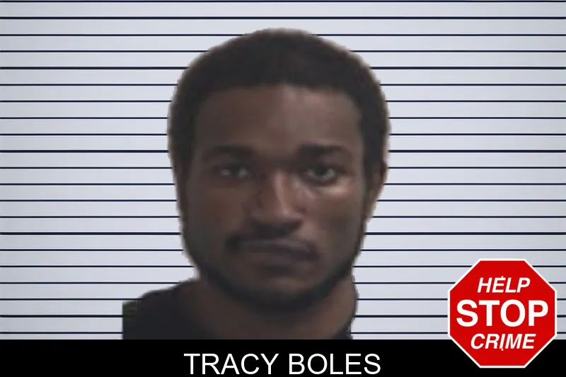 Tracy Boles mugshot