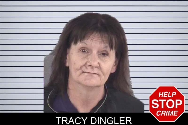 Tracy Dingler mugshot