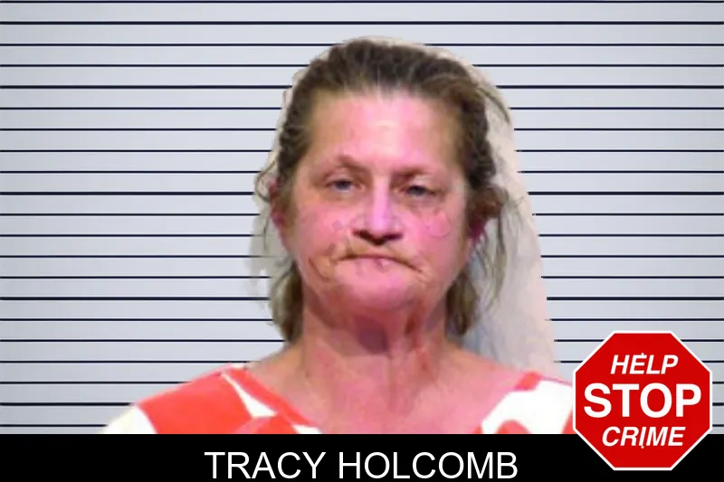 Tracy Holcomb mugshot