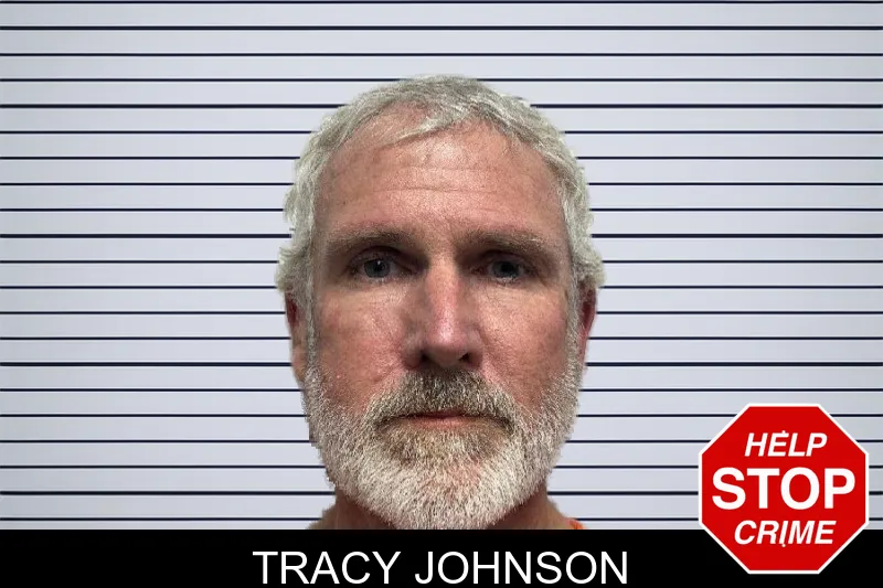 Tracy Johnson mugshot