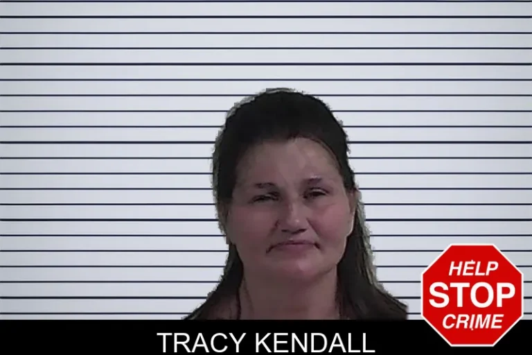 Tracy Kendall mugshot – Fannin County , Georgia Tracy Kendall