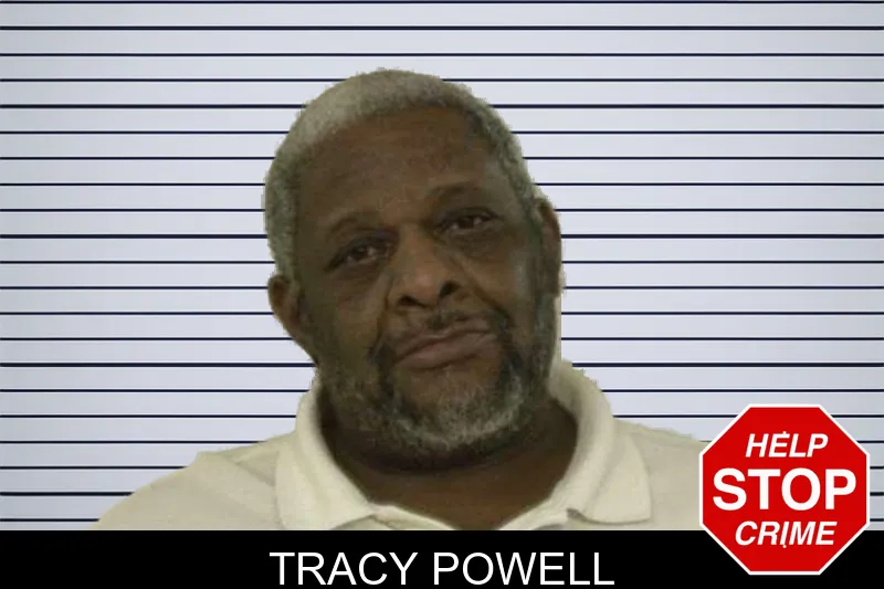 Tracy Powell mugshot – Liberty County , Georgia Tracy Powell mugshot