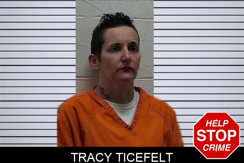 Tracy Ticefelt mugshot