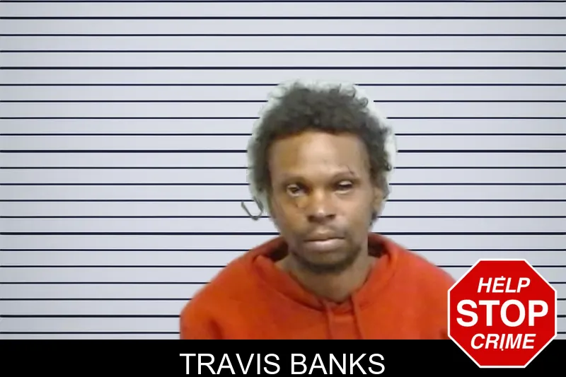 Travis Banks mugshot