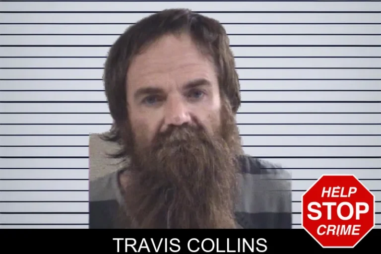 Travis Collins