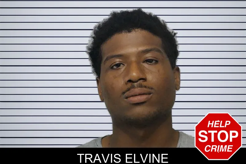 Travis Elvine mugshot