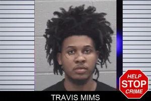 Travis Mims mugshot