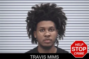 Travis Mims mugshot